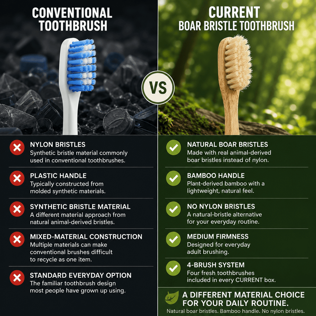 Bamboo Toothbrush 4-PACK - CURRENT